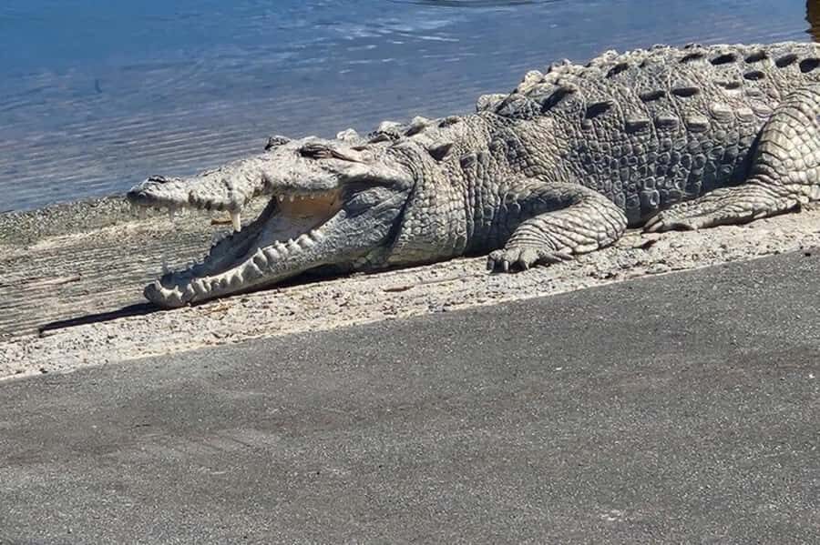Miami: Everglades National Park Hiking and Kayaking Day Trip - Key Things You’ll Enjoy Most