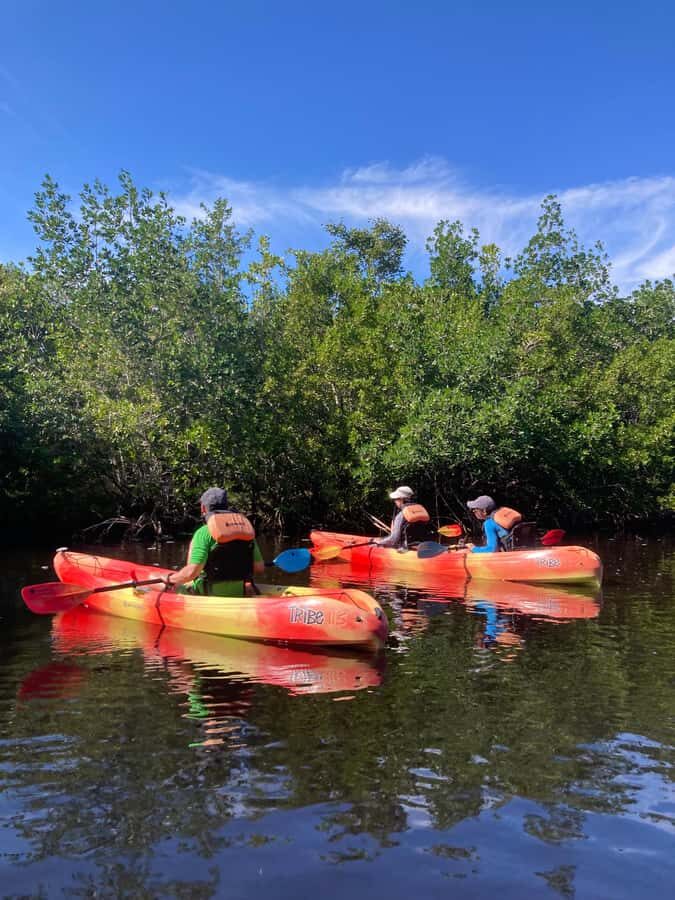 Miami: Everglades National Park Hiking and Kayaking Day Trip - Everglades by Foot and Kayak: The Day in One Clear Flow