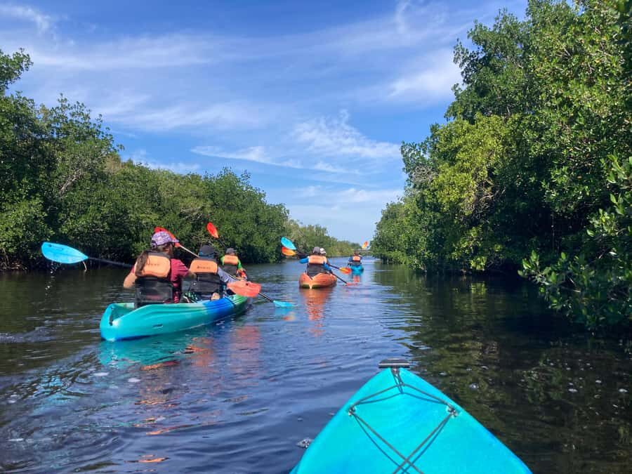 Miami: Everglades National Park Hiking and Kayaking Day Trip - Two Guided Hikes: Learning Habitats Without Guesswork