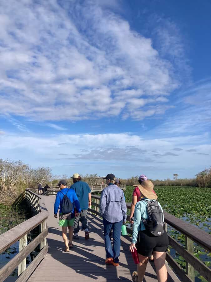 Miami: Everglades National Park Hiking and Kayaking Day Trip - 2-Hour Kayaking: The Everglades From the Waterline