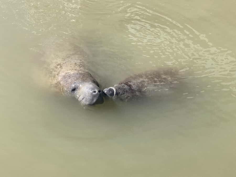 Miami: Everglades National Park Hiking and Kayaking Day Trip - What to Bring, and What You Can Leave at Home