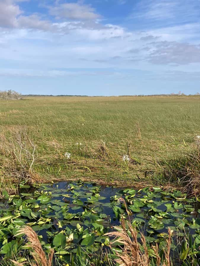 Miami: Everglades National Park Hiking and Kayaking Day Trip - Who This Tour Fits Best (and Who Might Want a Different Plan)