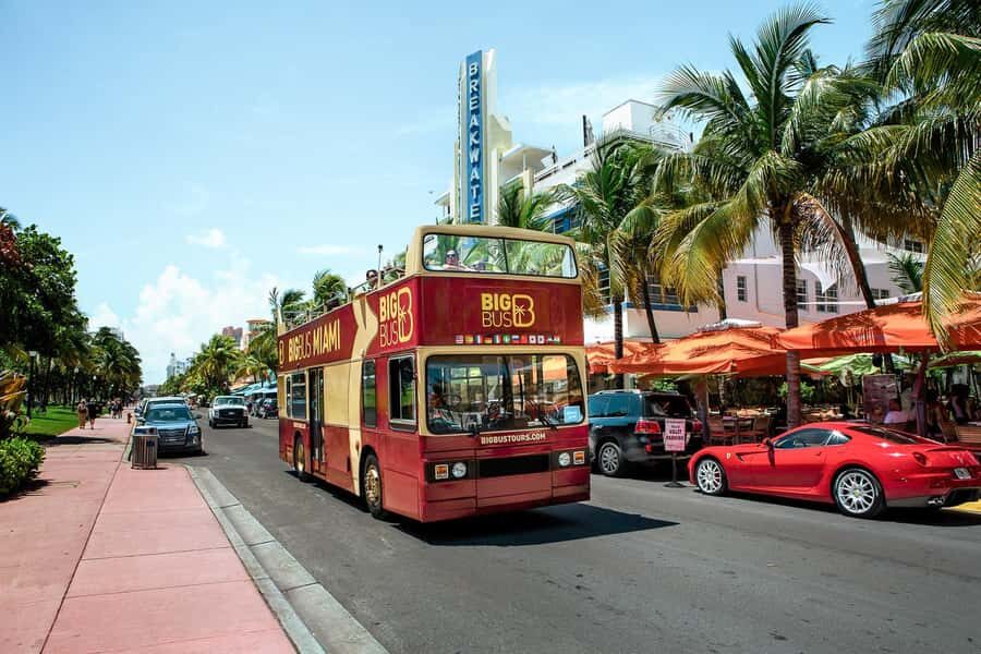 Miami: Hop-on Hop-off Open-top Bus Tour and Optional Cruise - South Beach and Little Havana: Two Very Different Miami Moods