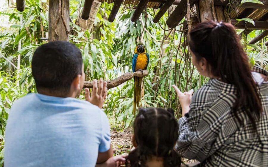 Miami: Jungle Island General Admission - Key Jungle Island highlights you should know