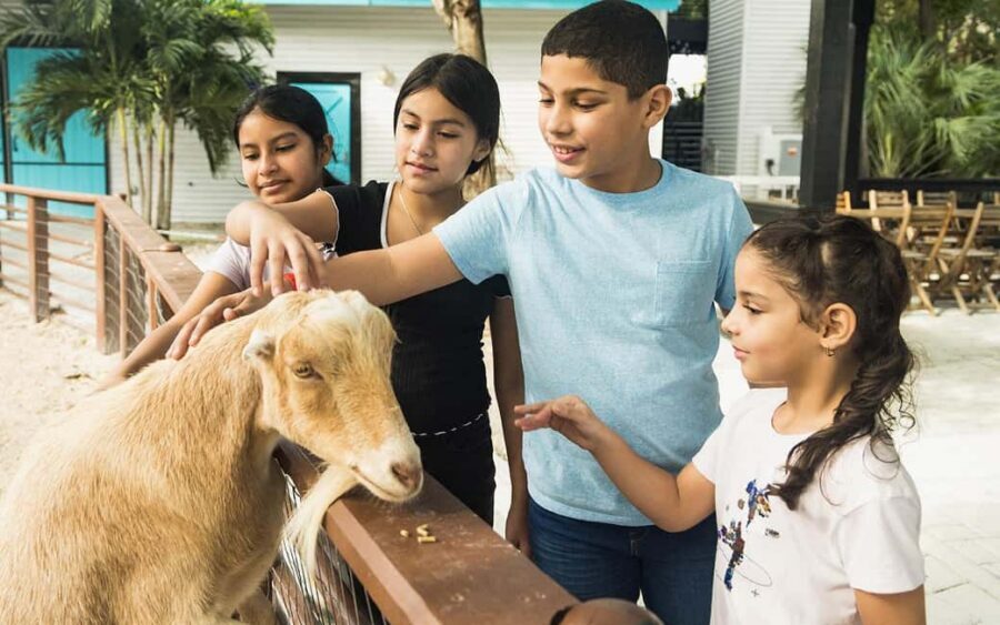 Miami: Jungle Island General Admission - Finding Jungle Island: where it fits in Miami and what your ticket actually includes