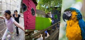 Miami: Jungle Island General Admission - Treewalk Village: the treetop circuit that makes the day feel like an adventure