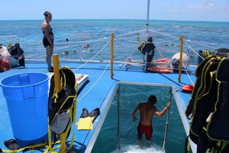 Miami: Key West Boat Tour w/ Optional Snorkeling & Open Bar - Key West on the clock: how to use your free time wisely