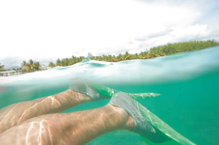 Miami: Key West Dolphin Watch or Snorkel Boat with pickup - Logistics That Can Trip You Up (And How I’d Avoid It)