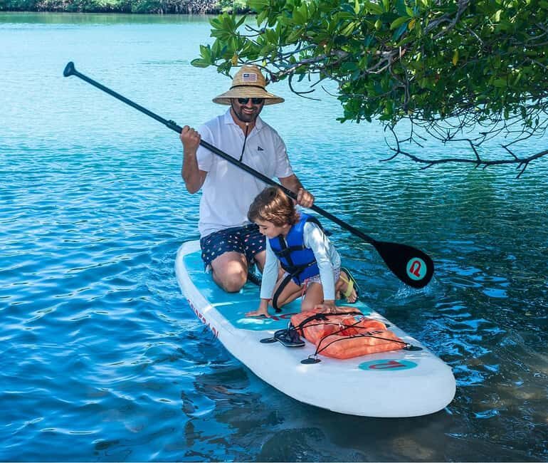 Miami: Paddle Board or Kayak Rental - PADL Beach Club - Wildlife spotting on Biscayne Bay: what you might actually see