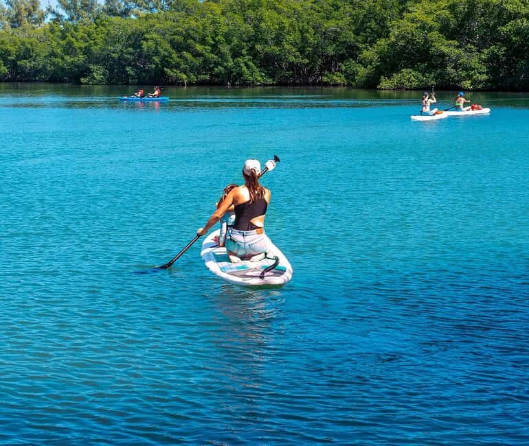 Miami: Paddle Board or Kayak Rental - PADL Beach Club - Paddleboard vs. kayak: how to pick the right “feel”