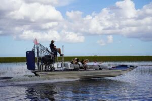 Miami Premium Everglades Driving Tour with Airboat Ride - How the early 8:00 AM departure changes your wildlife odds