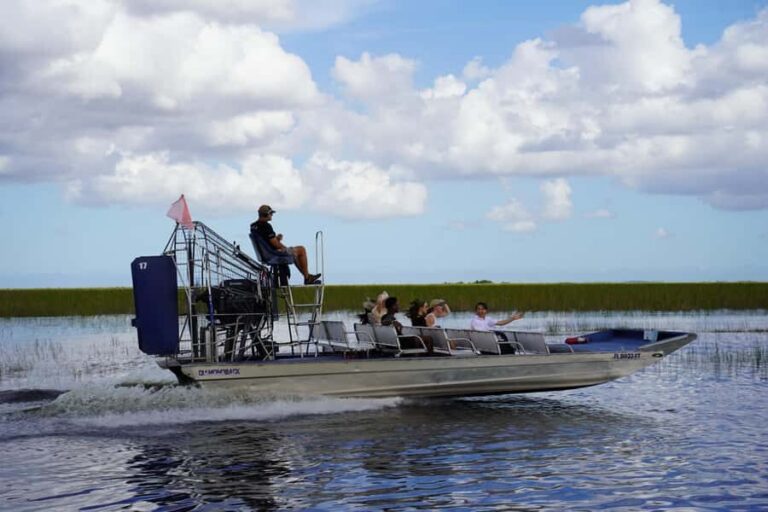 Miami Premium Everglades Driving Tour with Airboat Ride - How the early 8:00 AM departure changes your wildlife odds