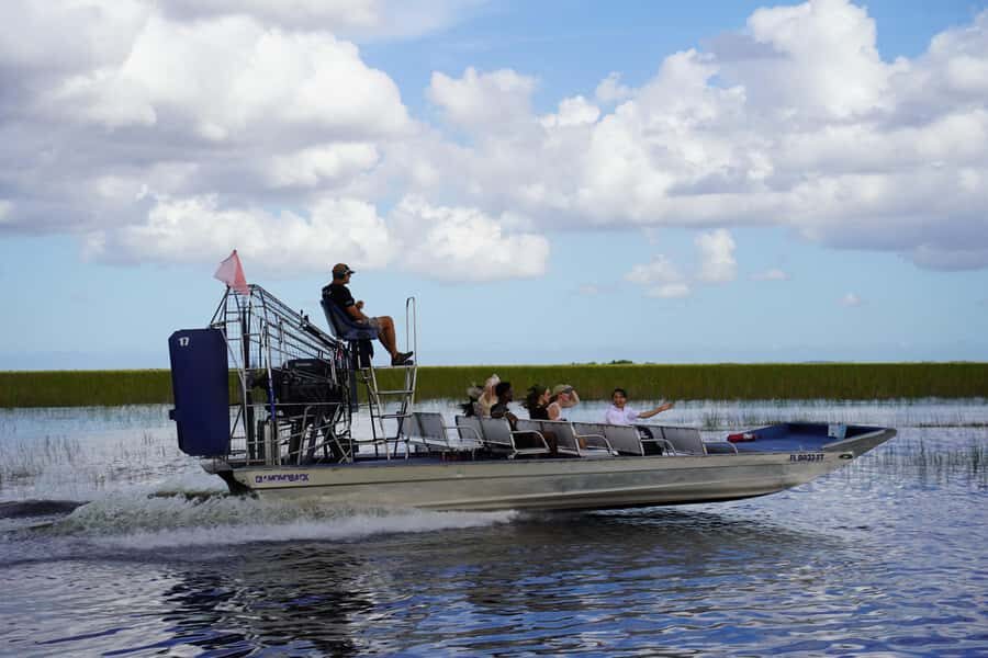 Miami Premium Everglades Driving Tour with Airboat Ride - How the early 8:00 AM departure changes your wildlife odds