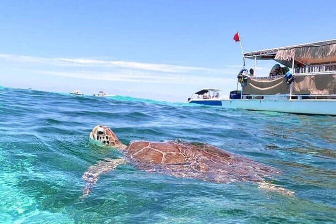 Miami: Snorkeling Experience - Snorkeling gear and floating toys: what’s included and how it helps