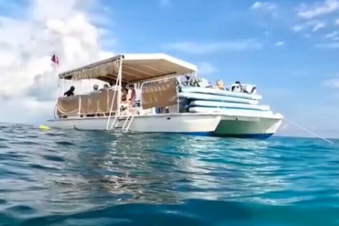 Miami: Snorkeling Experience - Price and value: does $199.99 per person make sense?