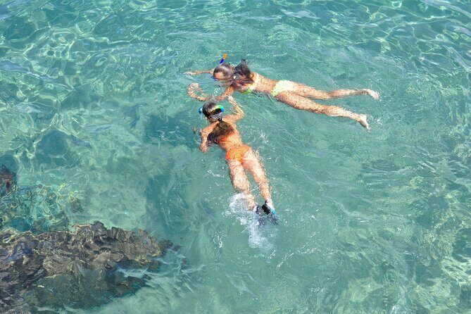 Miami: Snorkeling Experience - The sandbar/island stop: where snorkeling turns from idea to action