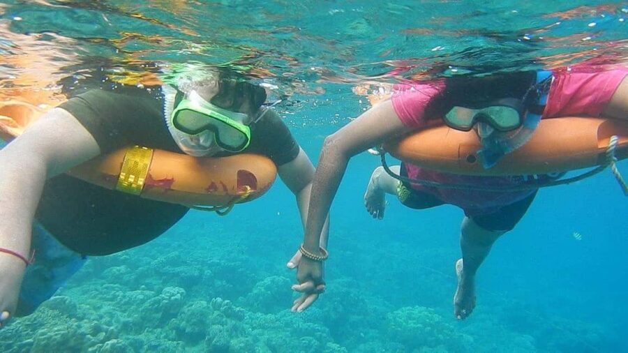 Miami Snorkeling for Beginners from Bayside Market Place - Key points to know before you go
