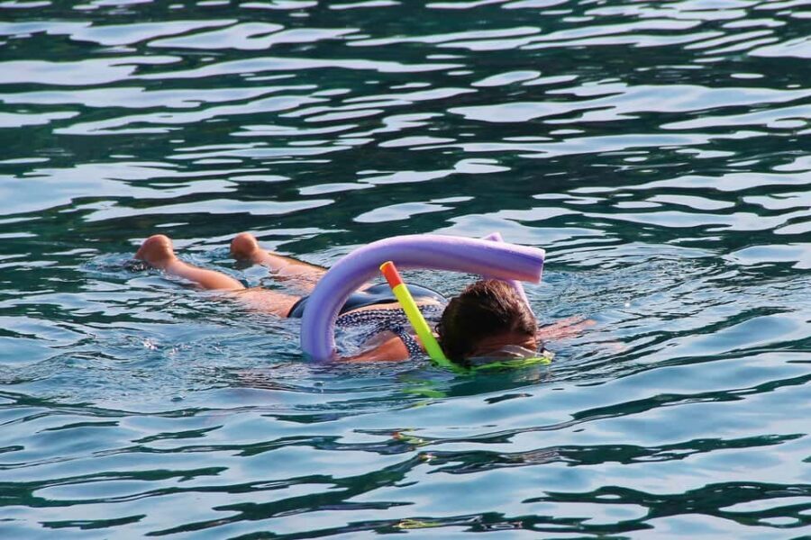 Miami Snorkeling for Beginners from Bayside Market Place - Biscayne Bay and the Sandbar: Why This Is a Great First Snorkel