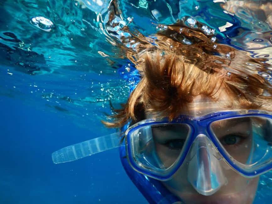 Miami Snorkeling for Beginners from Bayside Market Place - The 1.5-Hour Flow: From Bayside Marketplace to the Sandbar