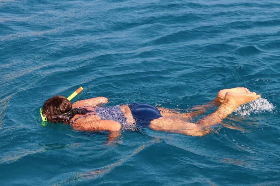 Miami Snorkeling for Beginners from Bayside Market Place - Crew Style: Friendly Help With a Practical Twist