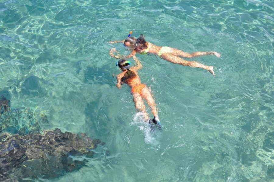 Miami Snorkeling for Beginners from Bayside Market Place - $35 Pricing: What You’re Paying For (and What You’re Not)