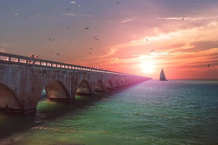 Miami to Key West Day Trip with Optional Activities - Meals, Budget, and What to Pack for a Full-Day Schedule