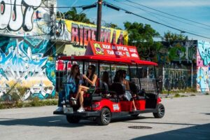 Miami: Wynwood Walls Entry and Neighborhood Buggy Experience - Wynwood Walls entry: what your general admission actually unlocks