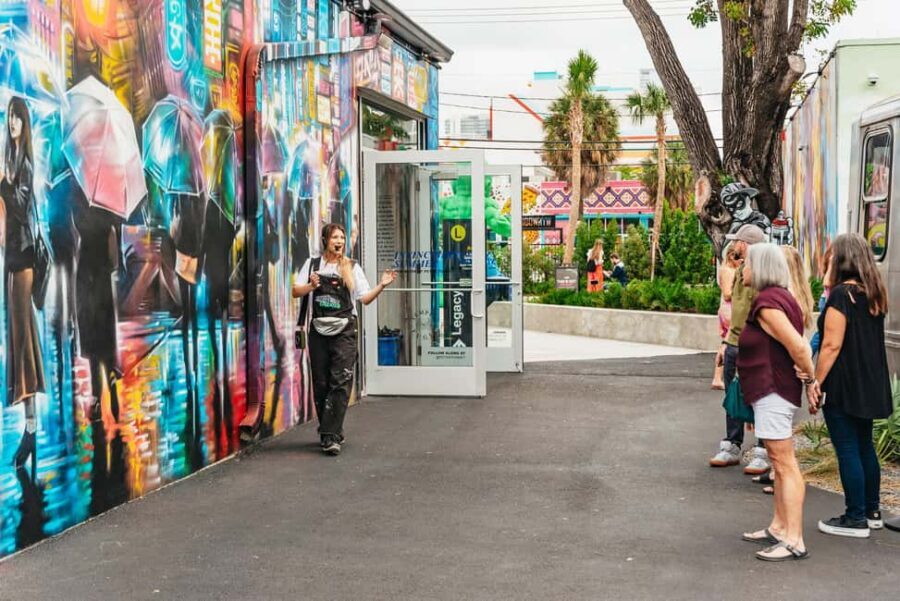 Miami: Wynwood Walls, Galleries, and Murals Guided Tour - How the murals changed the neighborhood (and why it’s more than decoration)