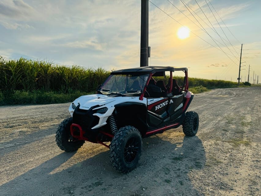 Miami's Ultimate Buggy Adventure on a Honda Talon UTV - Price that makes sense: $200 per group (up to 4)