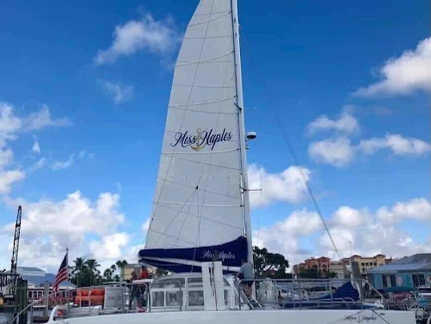 Naples: Catamaran Cruises with Wildlife Views - Wildlife on the Water: Dolphins, Manatees, Turtles, and Eagles