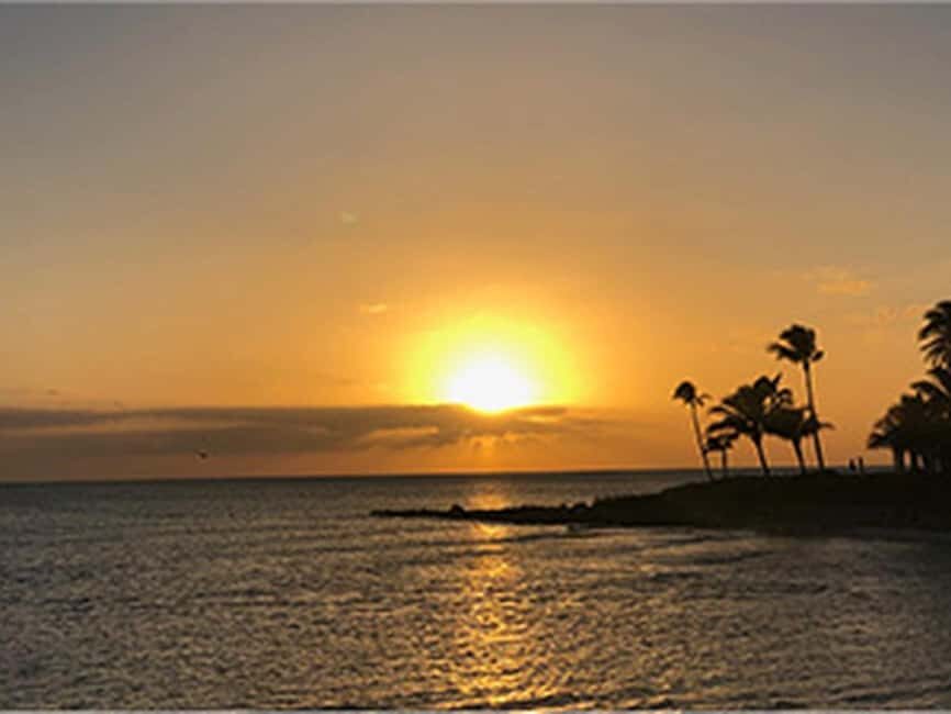 Naples: Catamaran Cruises with Wildlife Views - Port Royal’s Million-Dollar Homes: Sightseeing With Context