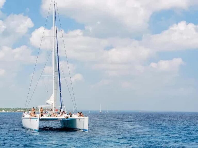 Naples: Catamaran Cruises with Wildlife Views - Pick Your Cruise: Afternoon Sightseeing, Beach Shelling, or Sunset