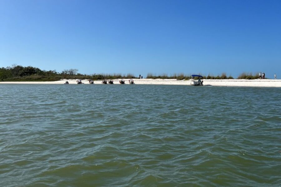 Naples, FL: Manatee, Dolphin, 10,000 Islands Beach Eco Tour - Weather realities: plan for a good day on the water