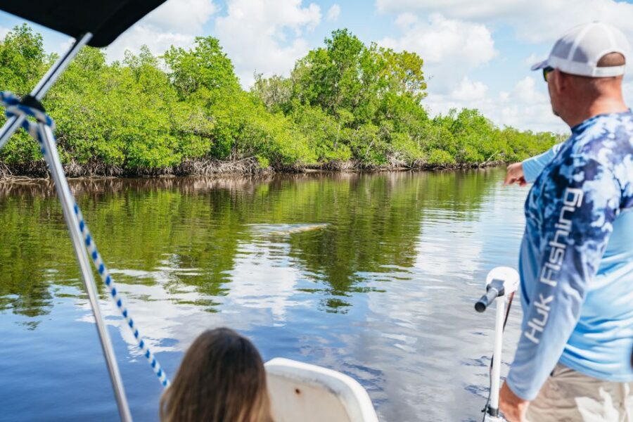 Naples, FL: Manatee Sightseeing and Wildlife Boat Tour - Manatees in Florida: what you’re looking for on the water