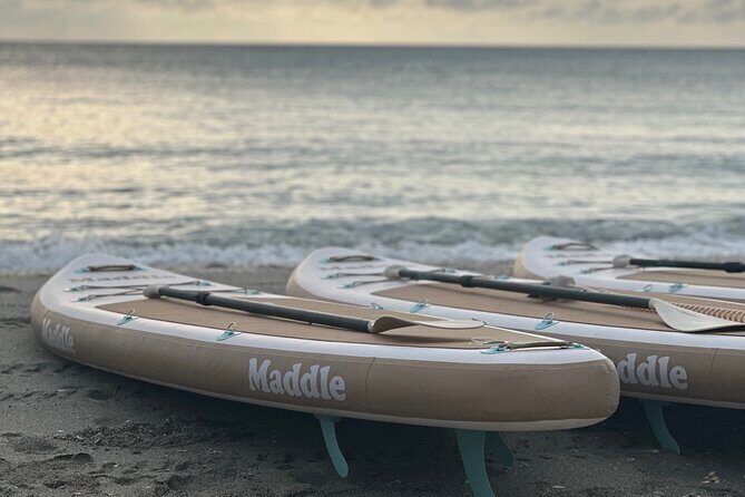 Paddle Board Picnic Peanut Island Palm Beach Singer Island - Wildlife and underwater moments at Peanut Island