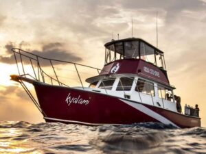 Palm Beach: Island Cruise on the Intracoastal - How the 90-minute cruise really feels on your day