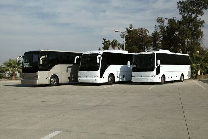 Private Cruise Port Transfer from MIA Airport or Any Miami Hotel - Arriving at PortMiami: Unloading and Terminal Guidance