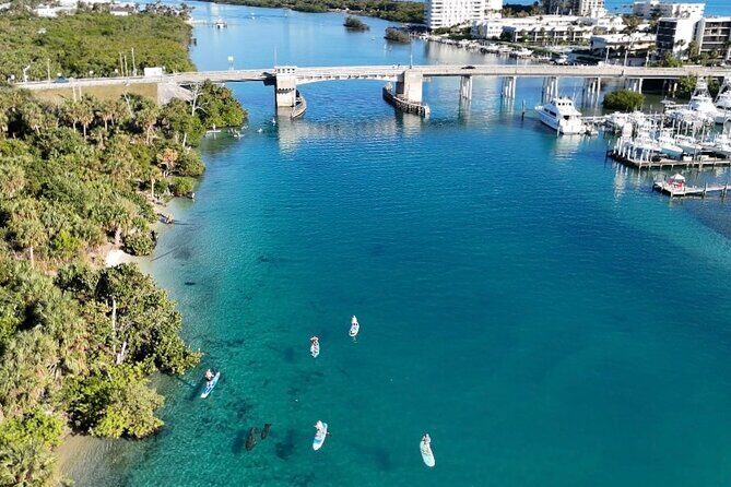 Private Jupiter Island Guided Paddle Boarding Tour - Indian River Lagoon paddleboarding feels like a wildlife safari with training wheels