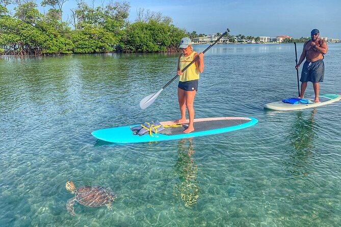 Private Jupiter Island Guided Paddle Boarding Tour - From Coral Cove area to Jupiter Lighthouse: the route in plain language