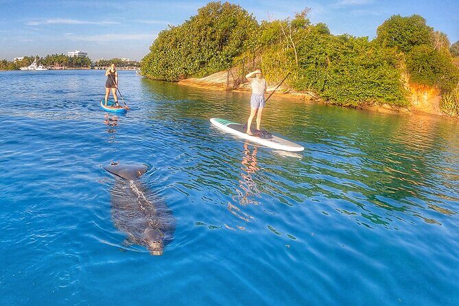 Private Jupiter Island Guided Paddle Boarding Tour - Paddling basics: how you learn before you’re out in the wildlife zone