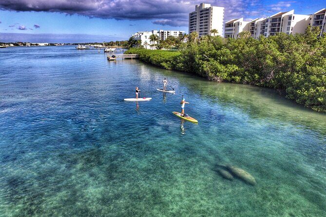 Private Jupiter Island Guided Paddle Boarding Tour - Where you start near Jupiter (and why the meeting point matters)