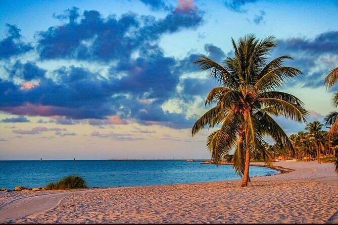 Private Tour to Key West - Price and value: $799 per group, and what you’re really buying