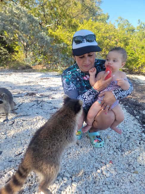 Raccoon Island: Exploration on SUP/Kayak - Getting to BILL BIRD MARINA: how to find the right dock fast