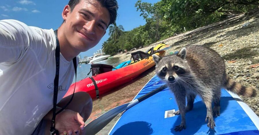 Raccoon Island: Exploration on SUP/Kayak - Value and the $99 price: what you’re really paying for