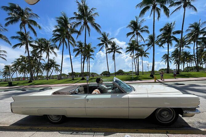 See it All in One Tour!! 6hr VIP Full Experience of Miami!! - Start at Bens Pizza and Get Your Bearings at Bayside Marketplace