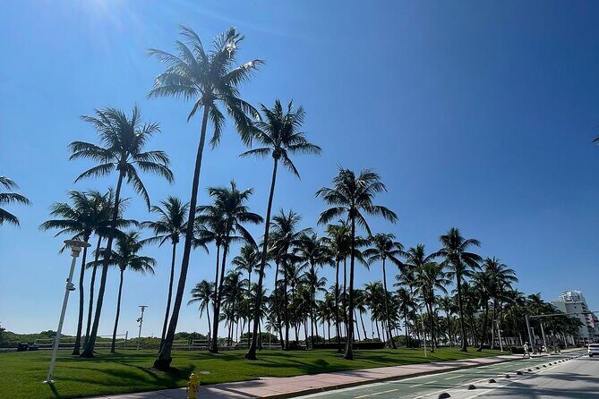 See it All in One Tour!! 6hr VIP Full Experience of Miami!! - Coral Gables and Coconut Grove: Mediterranean Streets and Tree-Lined Calm