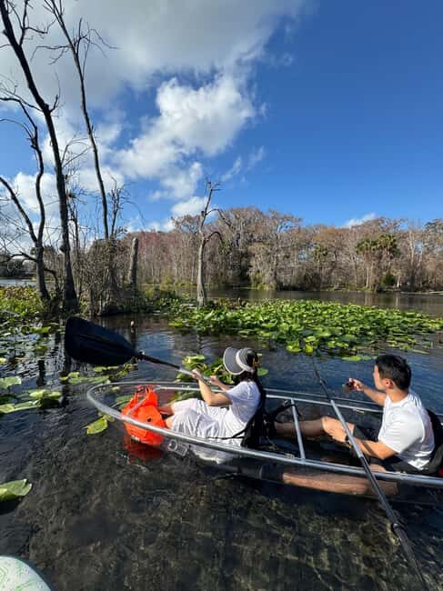 Silver Springs: Silver River Guided Kayak Tour - Key highlights at a glance