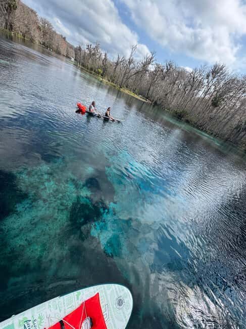 Silver Springs: Silver River Guided Kayak Tour - How the 1.5-hour paddle works on the Silver River