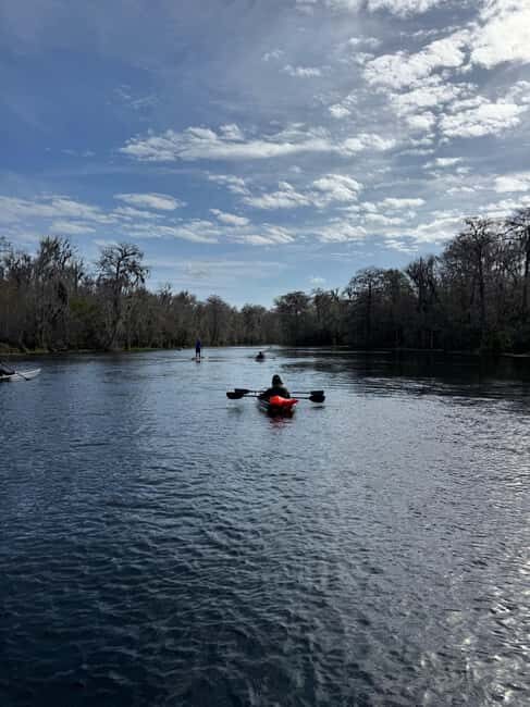 Silver Springs: Silver River Guided Kayak Tour - What you actually get included: clear kayaks, dry bags, and safety gear