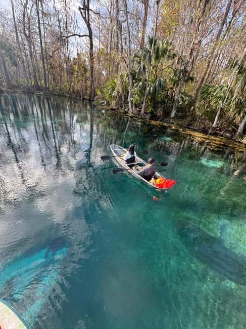 Silver Springs: Silver River Guided Kayak Tour - Where you meet, what the start feels like, and how early to arrive